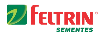 Logo da Feltrin